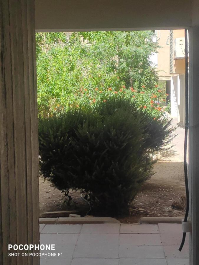 סוויטה של אלון Daire Arad Dış mekan fotoğraf